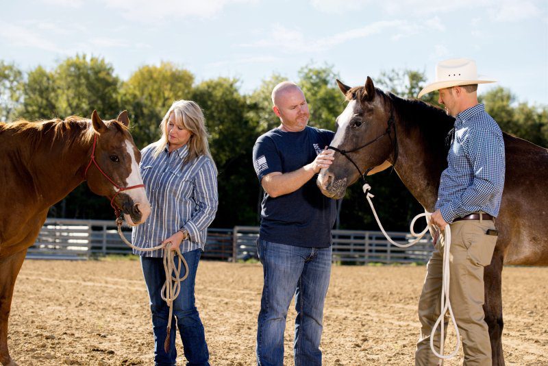 Three adults tend to two horses while out on the field